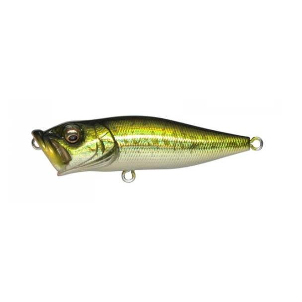 Megabass Pop X Topwater Popper Topwater – Tackle Express