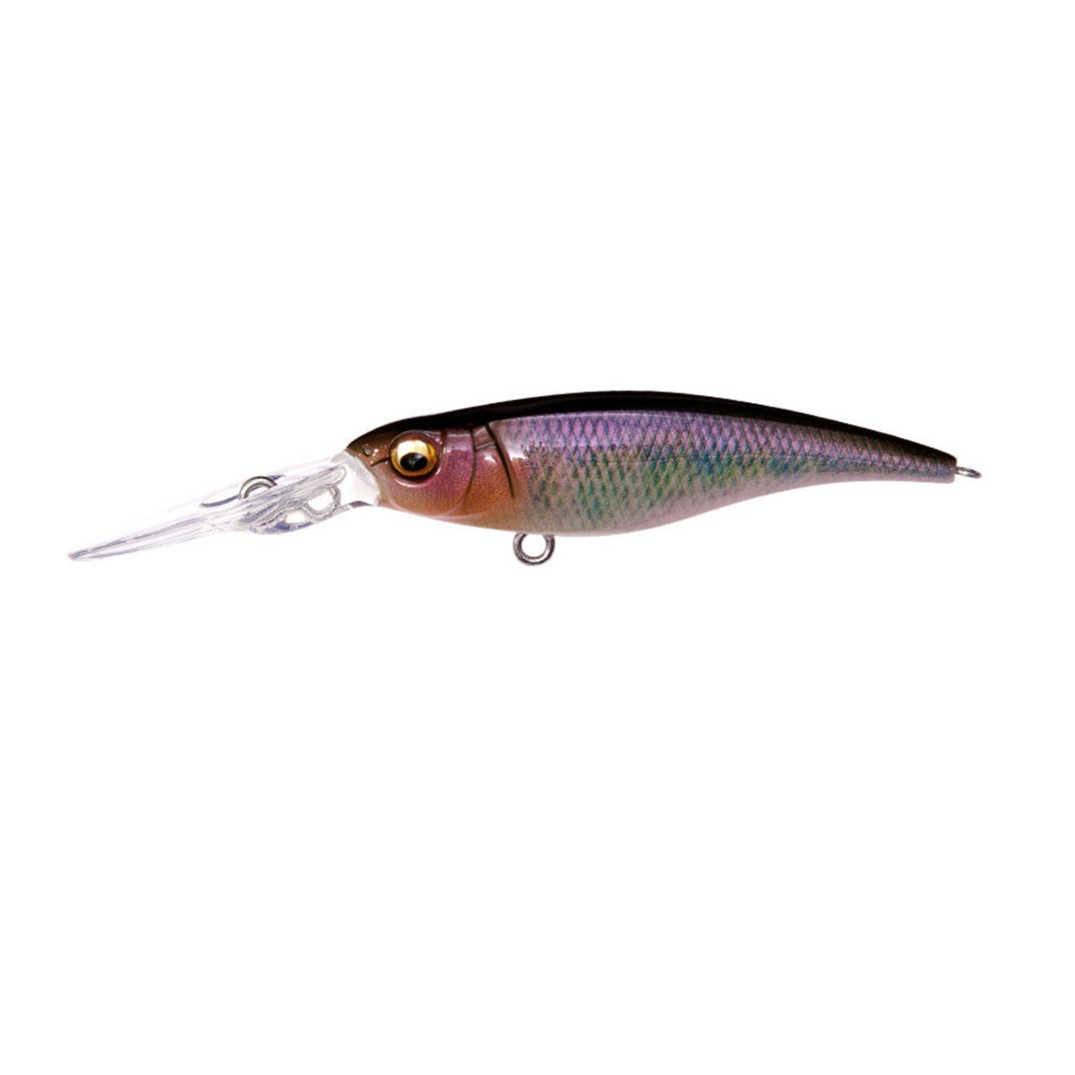 MegabassMegabass Shading - X R 62 - JerkbaitFA TNGMB - SHDXR62 - FT
