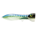 spanish mackeral
