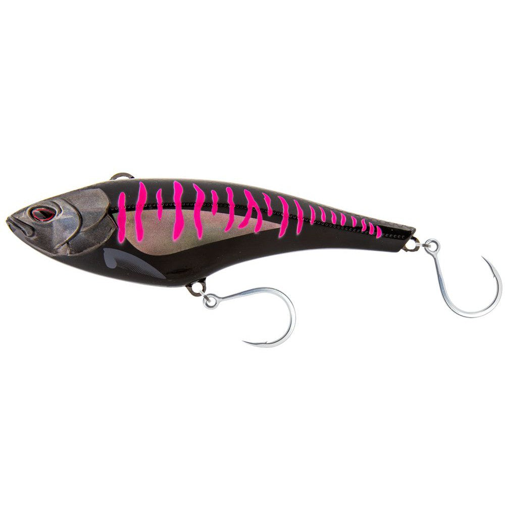 blue pink mackerel