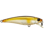 minnow shiner