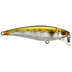 golden shiner