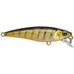minnow perch