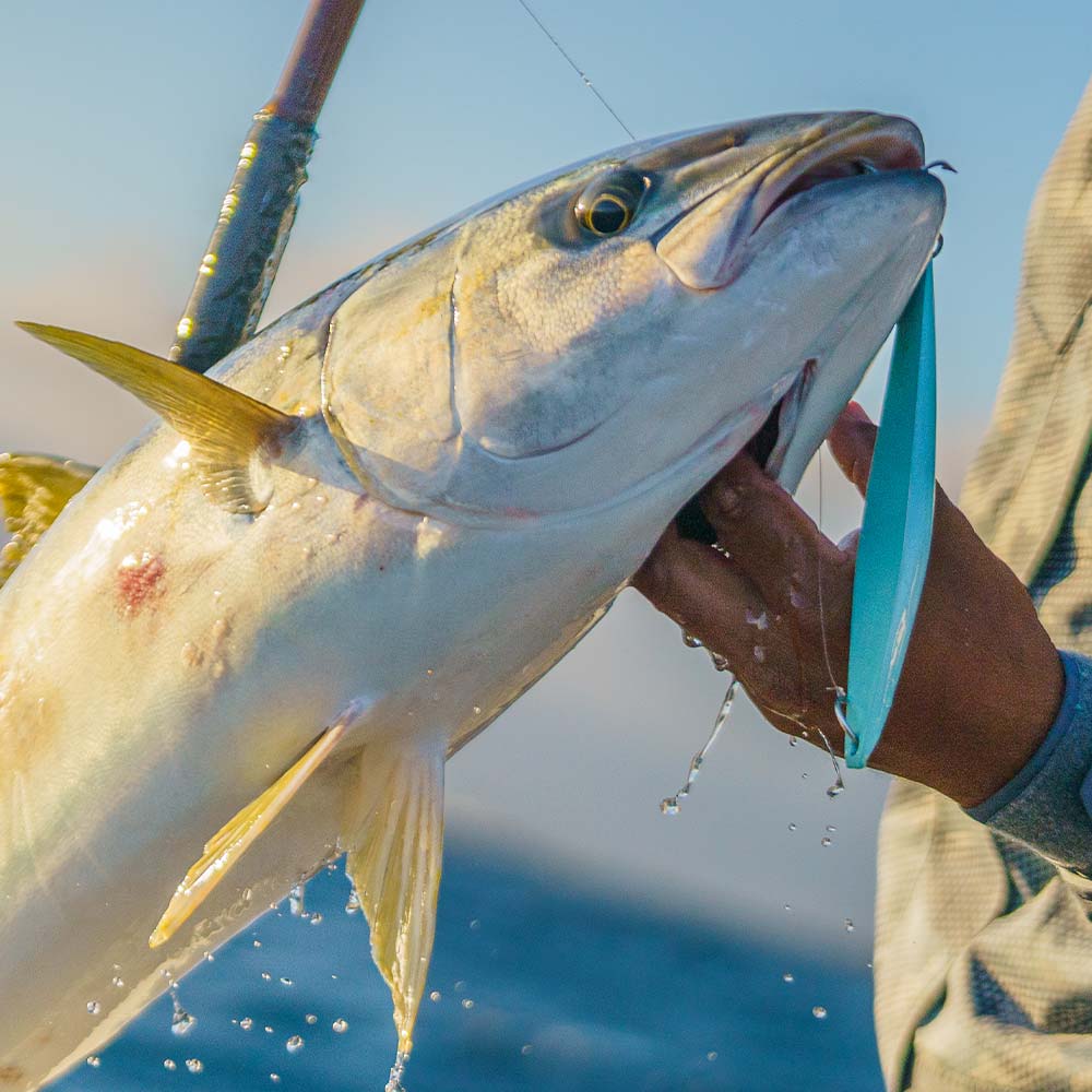 Chad talking about Tady 45 surface iron from the Tackle Express studio.