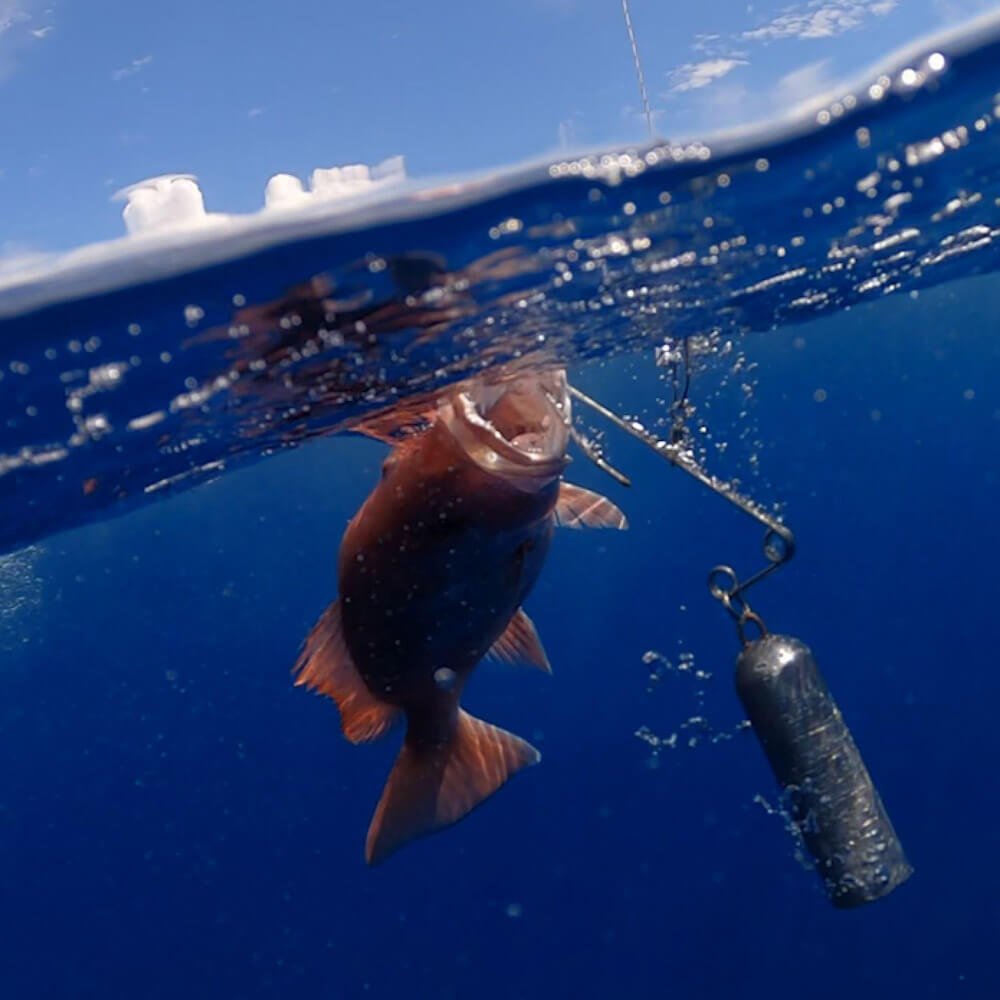 SeaqualizerSeaQualizer SeaYaLater Fish Release Hook - AccessoriesSeaQualizer SeaYaLater Fish Release HookSQSeaYaLater