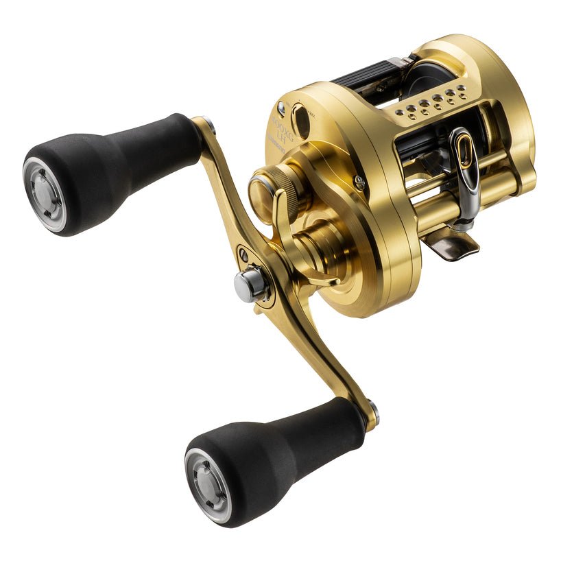 Shimano Calcutta Conquest MD Casting Reels - Tackle Express
