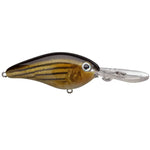 Strike King Pro Model 8XD Crankbait