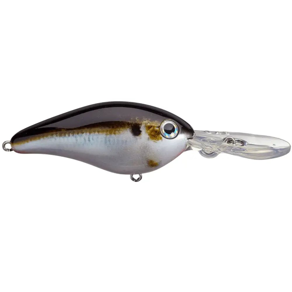 Strike King Pro Model 8XD Crankbait