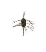 Yamamoto Baits Fuzzy Nut 6 pack