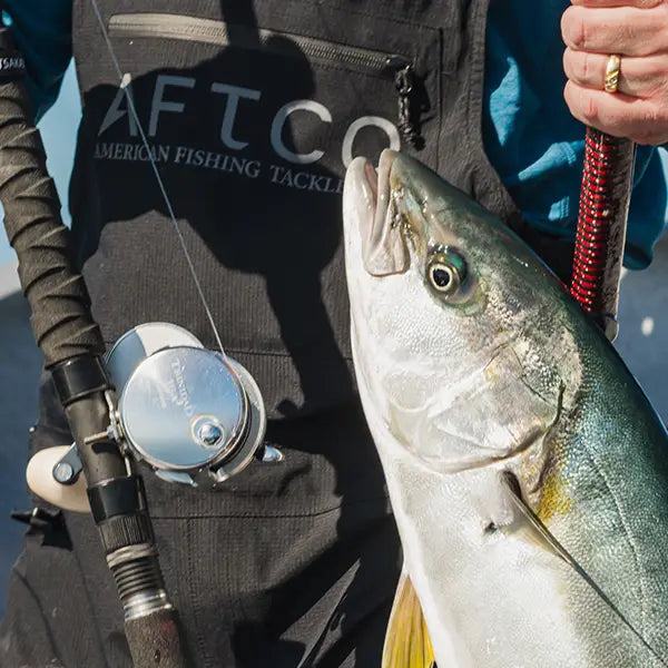 yellowtail on gaff with closeup of aftco bibs rod and Trinidad reel