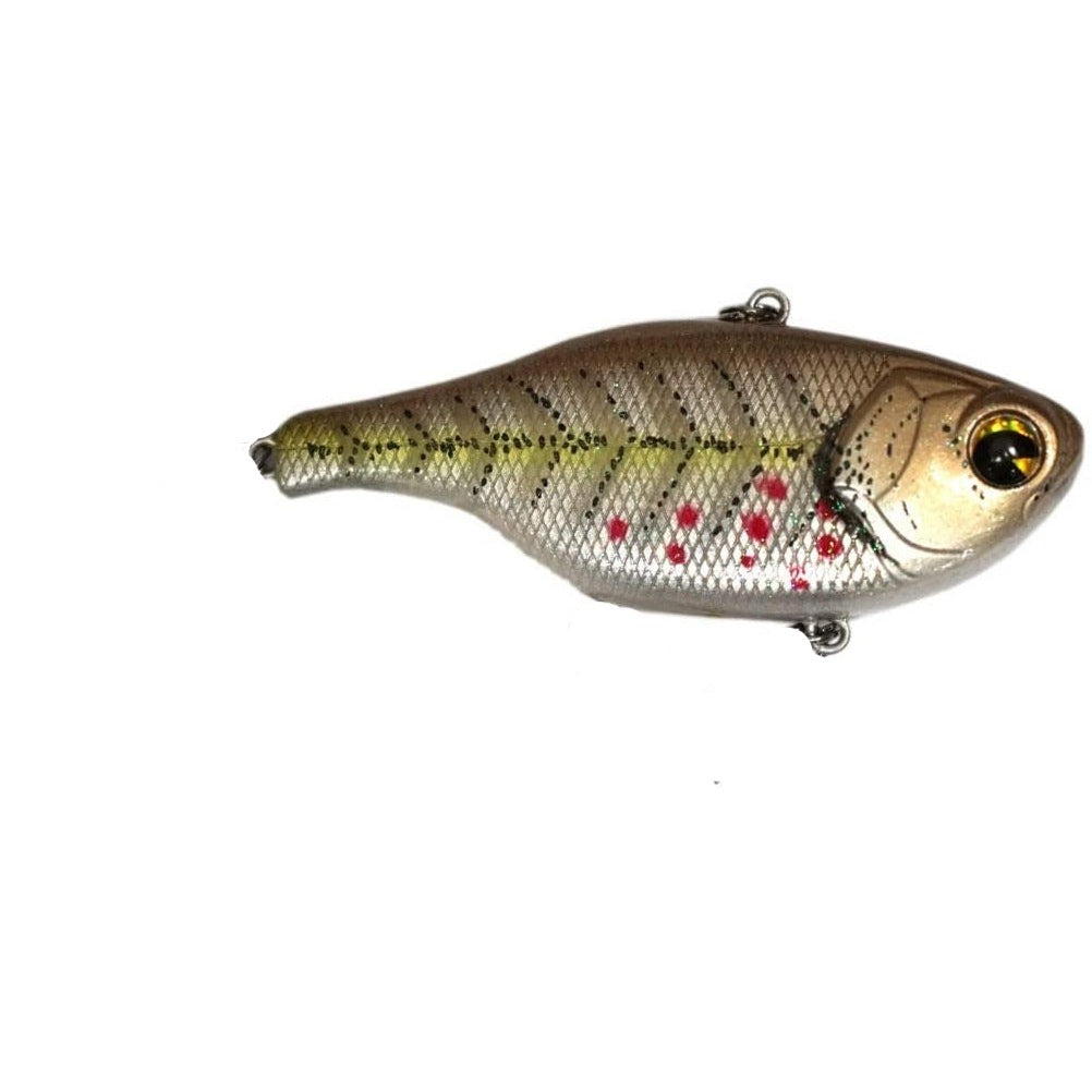Sexy Minnow