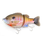 spawning gill