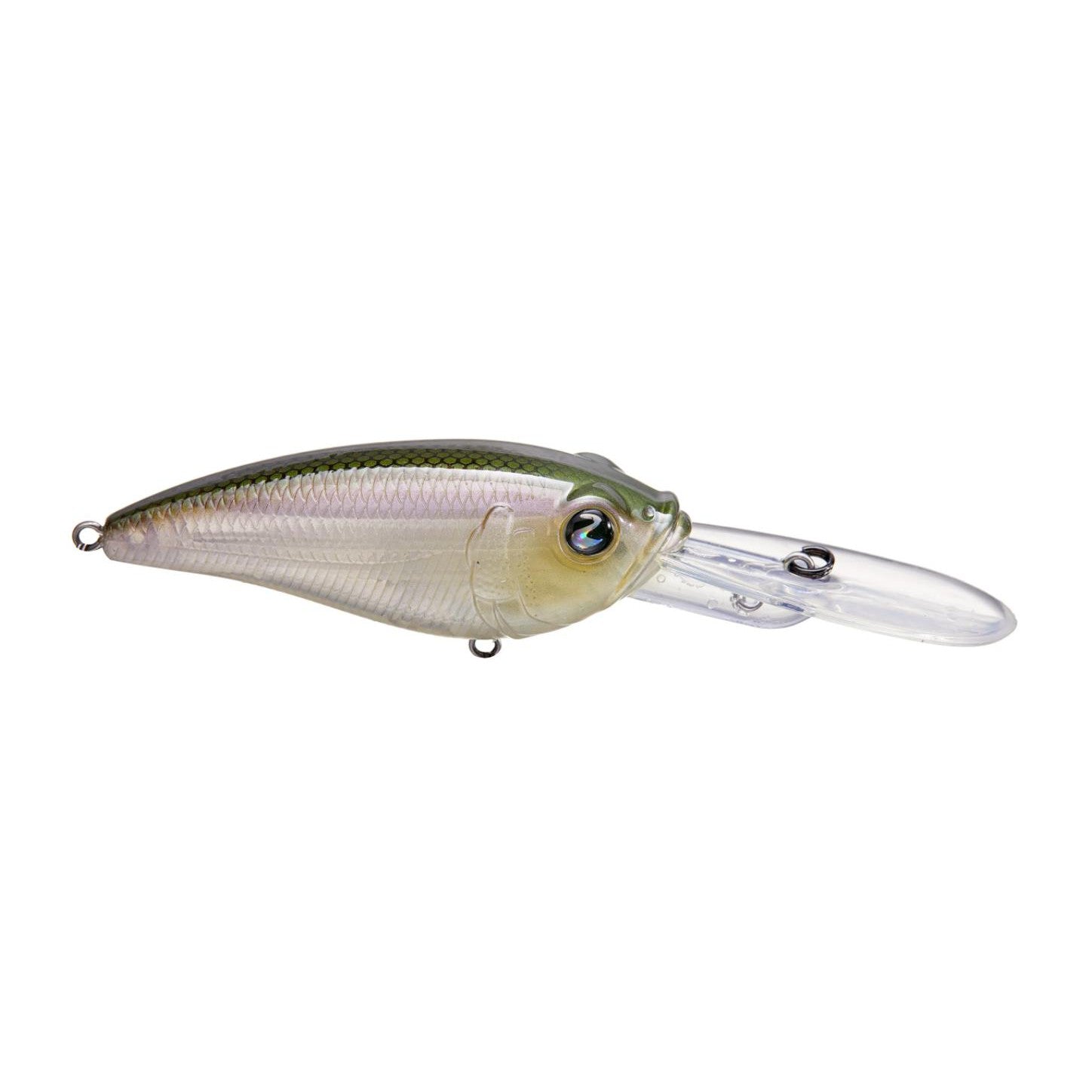 Ghost Minnow