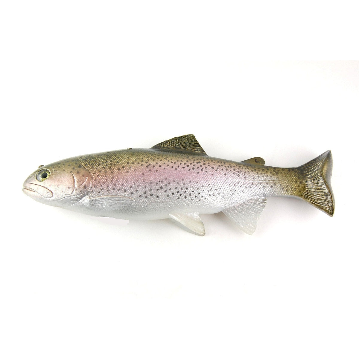 Huddleston Rainbow Trout 