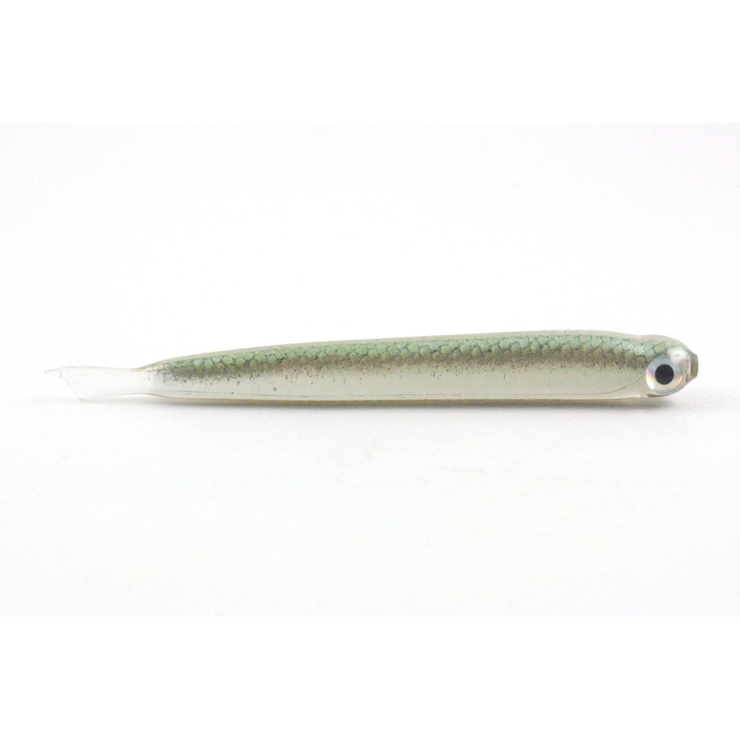 Silversides