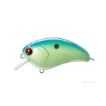 citrus shad