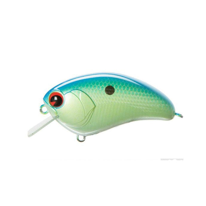 citrus shad