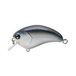 tennesse shad