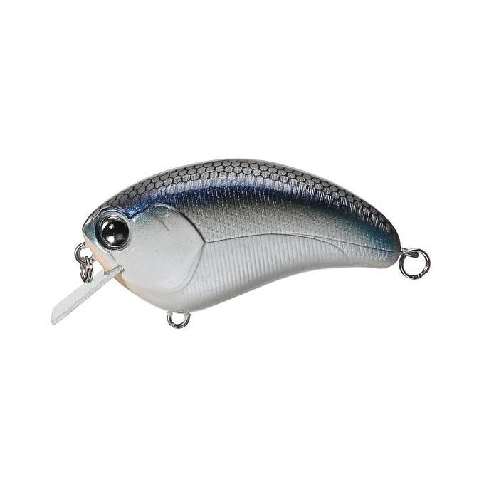 tennesse shad