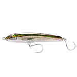 Olive Back Shad