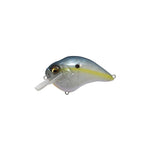 GP Sexy Shad