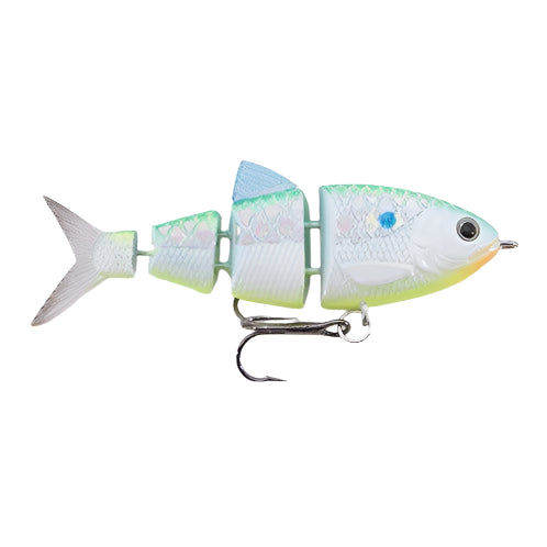 #10 Citrus Shad