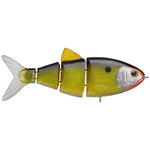 Dirty Shad
