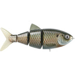 Killer Gill