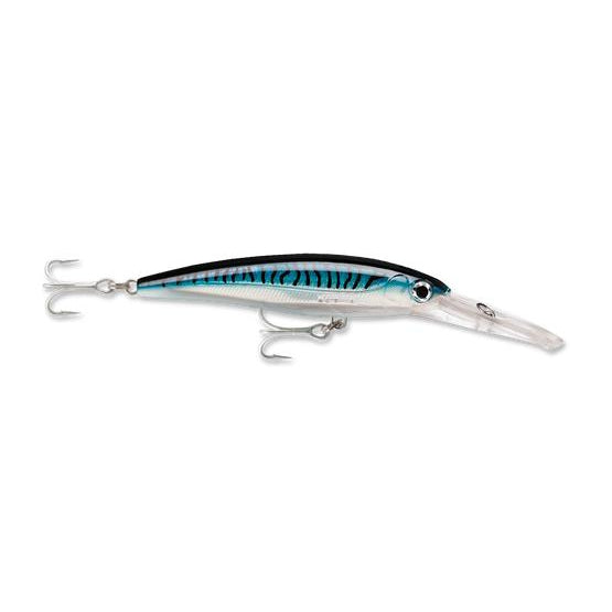 Silver Blue Mackeral