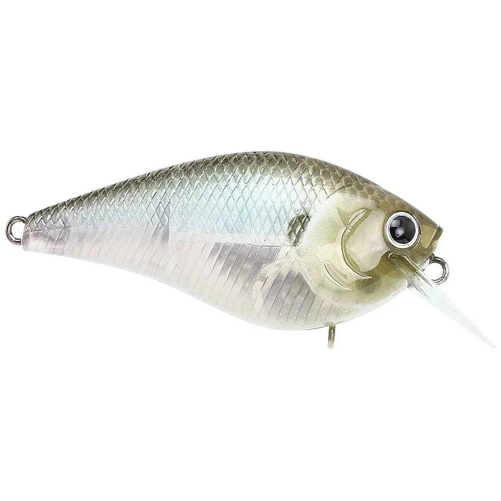 Ghost Minnow