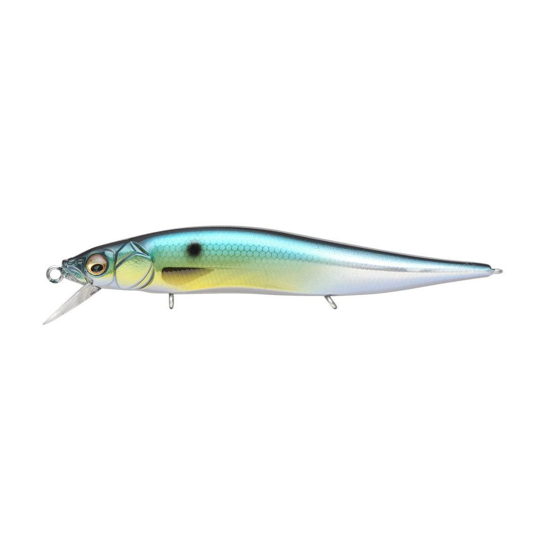GG Threadfin Shad