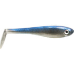 anchovy
