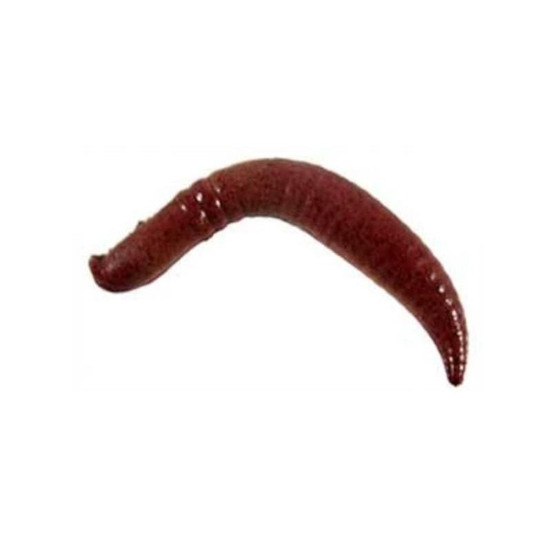 BerkleyBerkley Gulp Alive Trout Worms Jars - Trout WormsPinched CrawlerGAJGFPC2 - NC