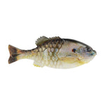 BerkleyBerkley Powerbait Gilly Swimbait 110mm - Soft PlasticsHD SunfishPBGL110 - HDSUN