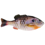 BerkleyBerkley Powerbait Gilly Swimbait 130mm - Soft PlasticsBlue GillPBGL130 - HDBLG