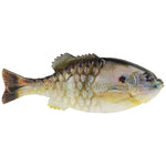 BerkleyBerkley Powerbait Gilly Swimbait 130mm - Soft PlasticsSunfishPBGL130 - HDSUN