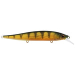 BerkleyBerkley Stunna 112 Jerkbait - JerkbaitPerchBHBST112 - PE