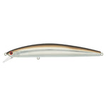 sand eel