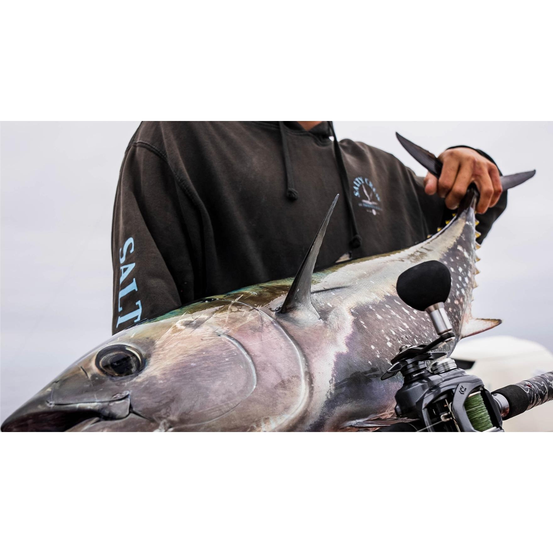 DaiwaDaiwa Lexa TW Bait Casting Reel - Casting Reels Lexa TW LEX - TW - 300P