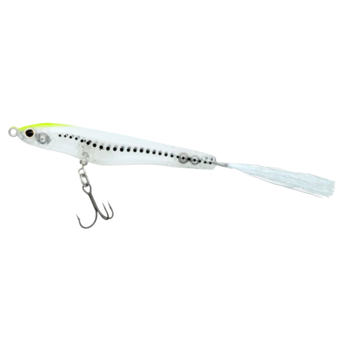 clear baitfish