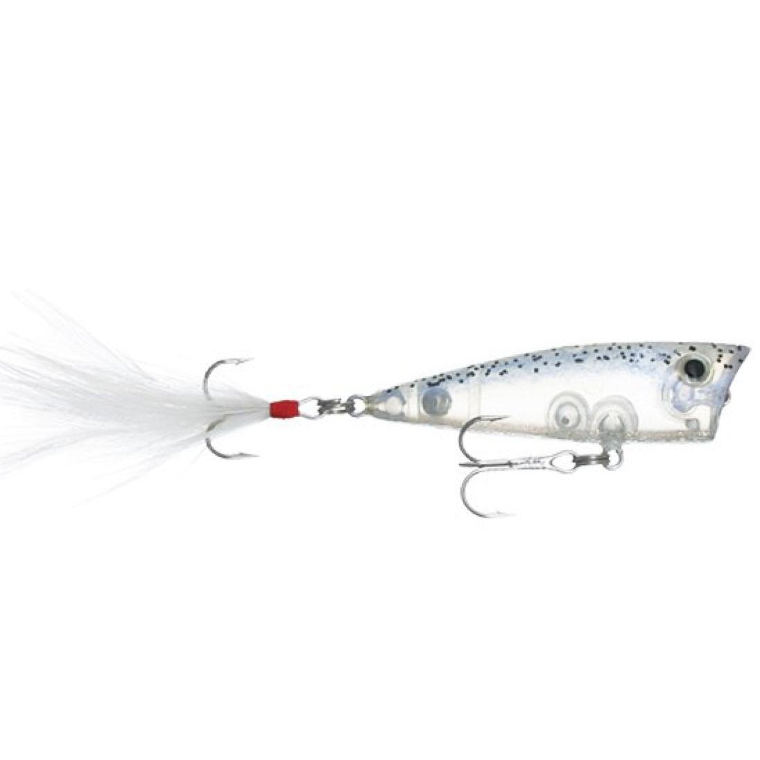 assassin shad