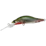 DUODuo Realis Rozante Shad 57MR - JerkbaitCCC3262 Ghost Tanago57CCC3237