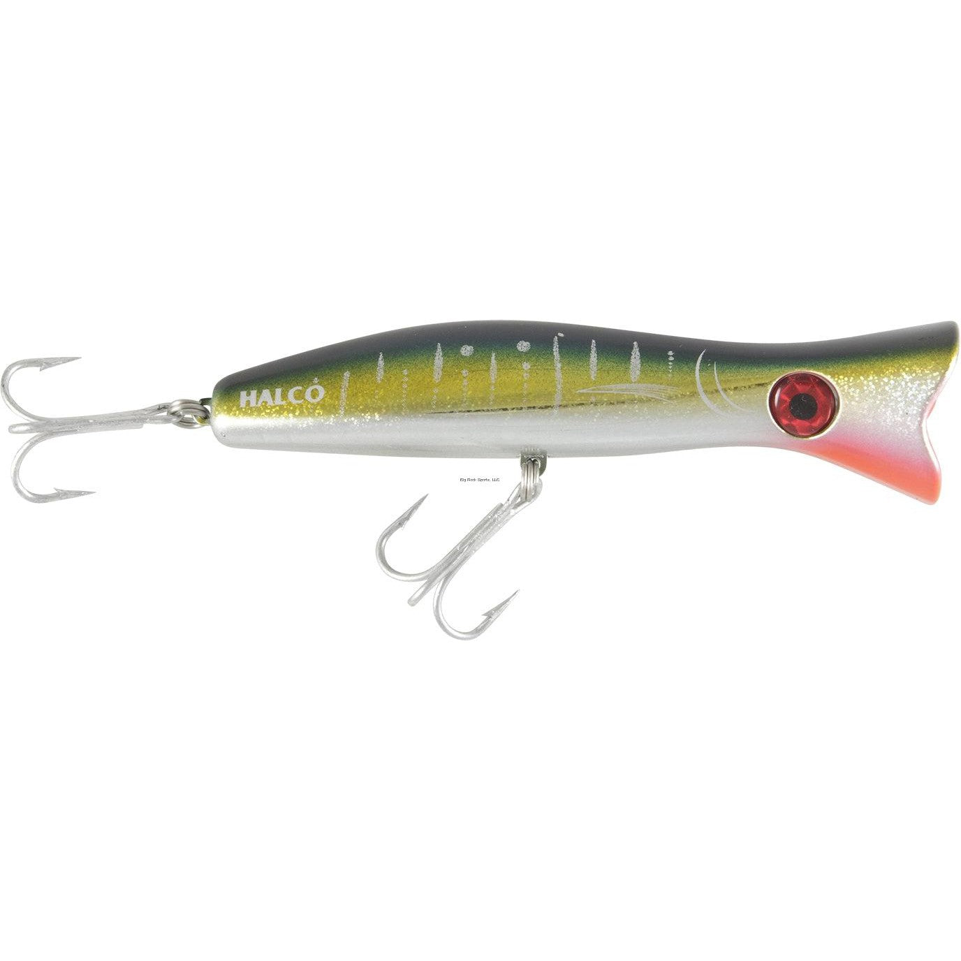 yellowfin tuna