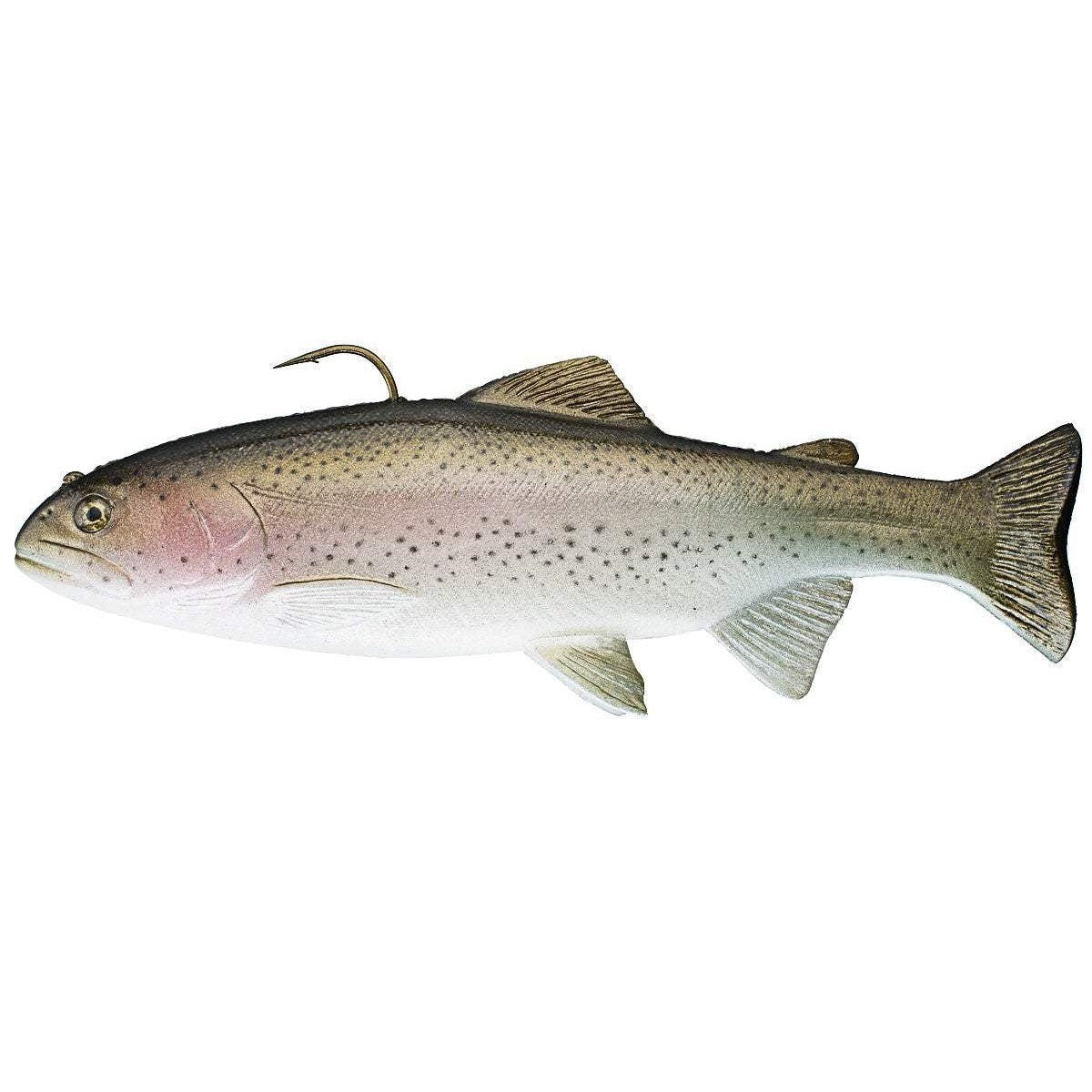 HuddlestonHuddleston 10" Deluxe Trout Swimbaits - Soft SwimbaitsHuddleston 10" Deluxe Trout SwimbaitsHUDLESTN - 10 - ROF5 - RNB