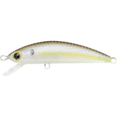 Chartreuse Shad