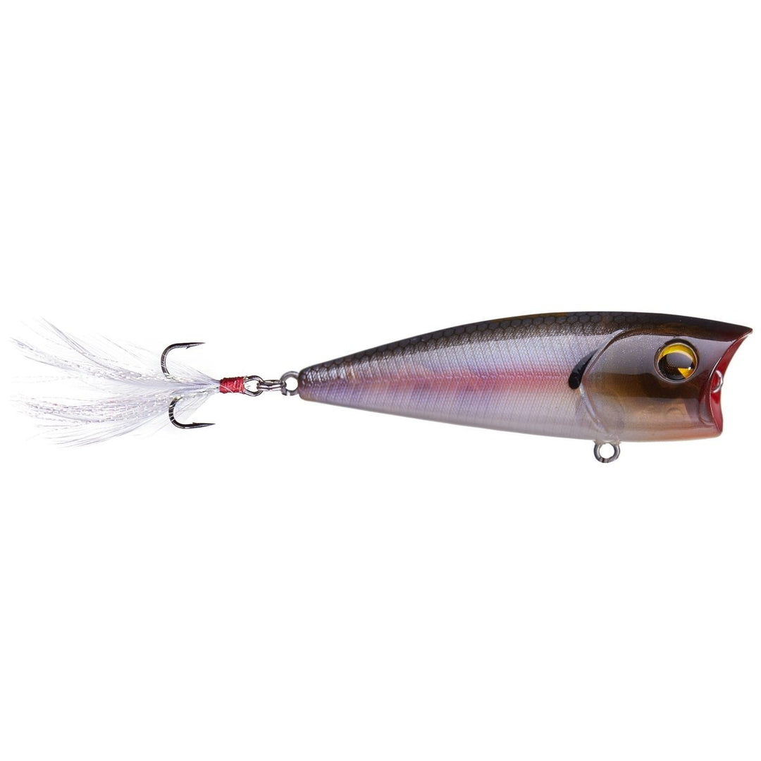 ImaIma Finesse Popper 65 - TopwaterOG Ghost MinnowIP65195GM