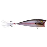 ImaIma Finesse Popper 65 - TopwaterOG Ghost MinnowIP65195GM