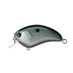 ImaIma Square Bill Crankbait Bill Lowen Signature - Squarebill Crankbaitgizzard shadISQB/184