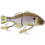 gizzard shad