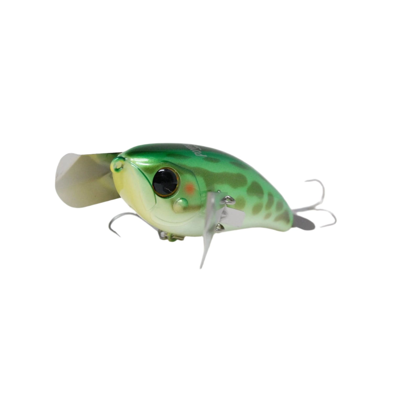 green frog